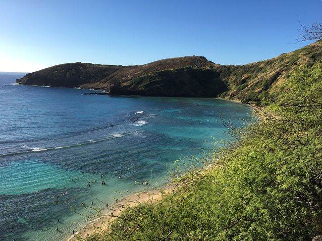 １月下旬、ハワイへふらり一人旅をしてきました。<br />夏以降海外に行っていないのでど～しても海外へ行きたい気持ちが抑えられず、色々調べてハワイへ。<br /><br />初一人海外、ハワイも初めて！どういう旅になるかと少し不安もあったけど、楽しい旅になりました。