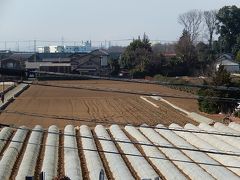 2月24日の富士山