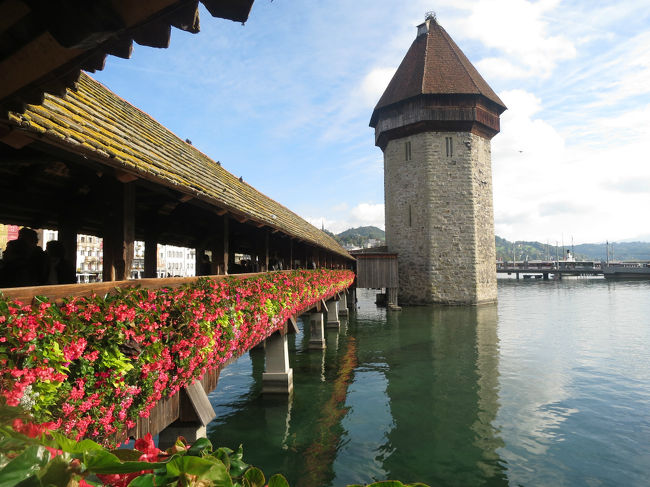 スイス旅行も残すところあと1日。<br />6日目は前日とは打って変わって晴天。<br /><br />午後のチューリッヒ移動まで、ルツェルンの街を散策しました。<br /><br />スケジュール:<br />◇1日目:関空発タイ航空でチューリッヒに移動<br />◇2日目:チューリッヒ→ベルン 市内観光 ベルン泊<br />◇3日目:ベルン→ツェルマット ハイキング ツェルマット泊<br />◇4日目:ハイキング ツェルマット泊<br />◇5日目:ツェルマット→シュピーツ→トゥーン→ルツェルン ルツェルン泊<br /> ※シュピーツ→トゥーンは船で移動<br />◆6日目:ルツェルン→チューリッヒ移動 チューリッヒ泊<br />◇7日目:チューリッヒ発タイ航空で関空に移動