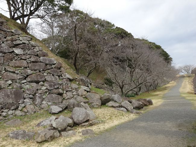 日本100名城の中でも、是非一度、訪れてみたかったのが、肥前名護屋城です。<br />天守や櫓などは現存していませんが、壮大な石垣が残されており、豊臣秀吉の朝鮮出兵の歴史を感じることができる城跡で、とても感動しました。