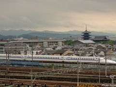 シルバーウィーク京都・大阪・神戸三都めぐり(京都編)