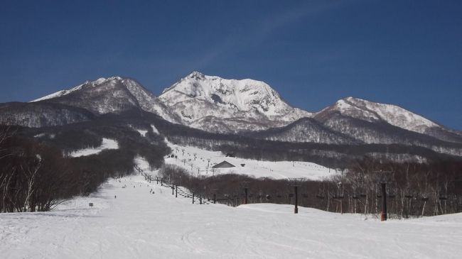 昨シーズンは北海道まで遠征しましたが、今季は控えめに妙高に。しかも妙高が良いんじゃないと言っていたＮ氏夫妻は不参加。同僚のＧ氏とＮ氏の弟子・NTくんとの３人旅に。<br /><br />22日、夕方到着のお二人が来る前に、私ひとり池の平温泉で一滑り。妙高高原のスキー場は結構滑っているつもりですが、池の平温泉は初めて。<br />快晴です。山がきれい。人出も少なく緩いコースをのんびり滑れます。中学生や大学生のスキー教室はやってましたが、適切なチョイスでしょう。<br /><br />23日は赤倉観光リゾート(通称、赤観)に。天気は小雪→晴れ間くらい。赤観は滑り応えあるコースにゴンドラやフード付リフトがかかっているなかなかのスキー場です。やや硬めのバーンでしたが、まあまあ楽しめた!?<br />翌日仕事だそうで、夕方Ｇ氏は引き揚げていきました。<br /><br />最終日は雲ひとつない青空。うれしくてNTくんと９時前から滑りまくりました。整地されたゲレンデは爽快の一言。さらに正面も背後も山がばっちり。昨秋に登った越後駒ヶ岳まで見えます。<br />ただ、暖かすぎて……　10時すぎると次第に雪が春のような状況に。最後に、隣の赤倉温泉スキー場に滑り込んで１時すぎ終了しました(こちらは妙高山がド迫力)<br /><br />異常な暖かさだけはちょっと～でしたが、気持ち良く滑れた時間帯もあったし、最高の展望だったので、まずまずのスキーでしょうか。来季の日程だけ決めて解散しました。