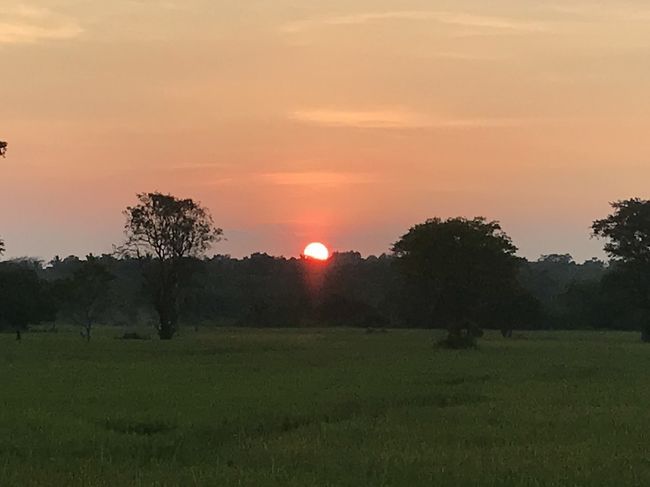 Anuradhapura で、Abhayagiri Dagoba と Sri Maha Boshi を見学後、コロンボの空港に向かいました。<br /><br />2箇所ともiPhoneで記録を取り損ねており、写真は空港に向かう途中の夕焼けです……