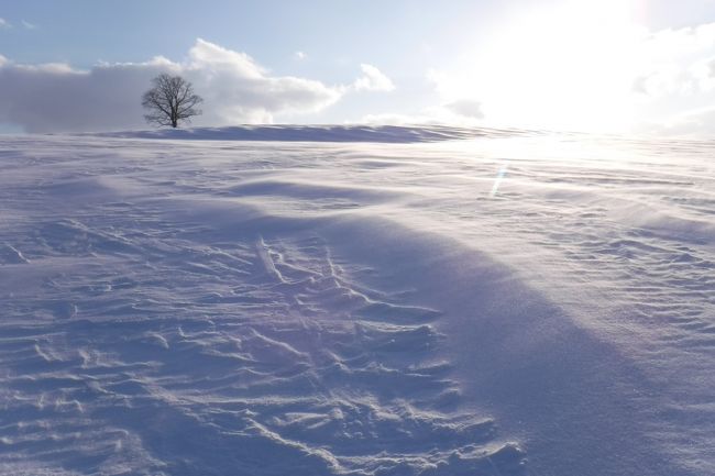 過去最悪な雪状況<br />暖冬で雪質は・・・<br /><br />パウダーのないルスツ