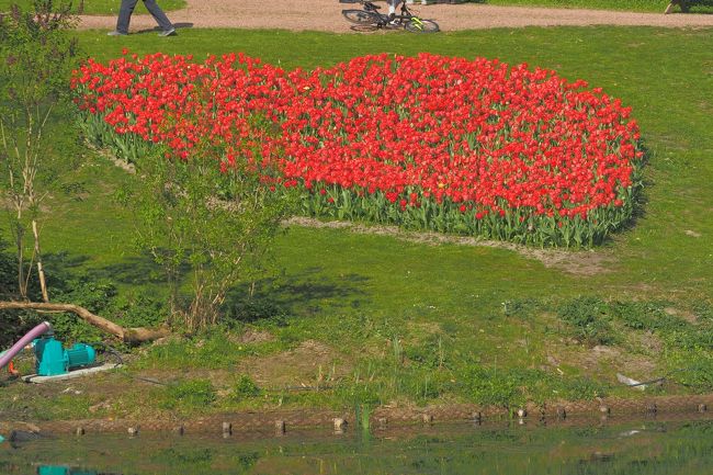 BRUXELLES & LONDON 初めてベルギーと大好きロンドン　備忘録