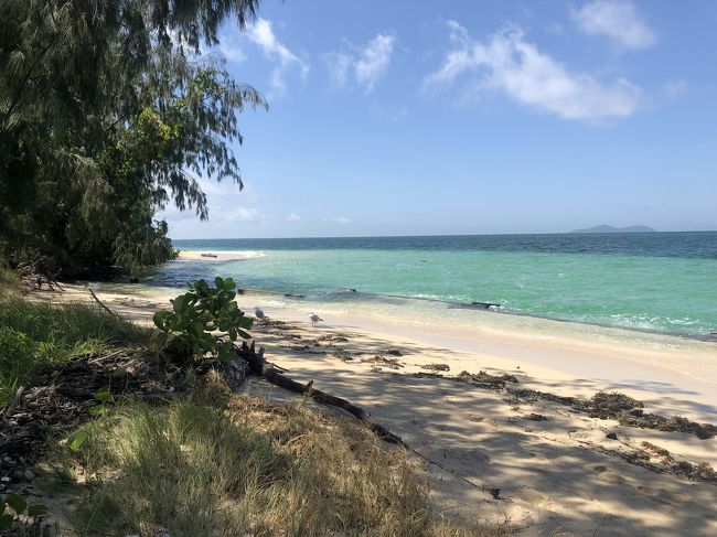 初めてのオーストラリアへ!<br />ケアンズ旅行3泊4日!シドニーちょこっと歩きもあります◎<br />英語でのやりとりもちょこっと載せます(๑´∀`๑)<br />1日めから活動してきました!