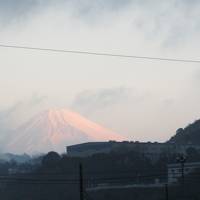 今年最初の家族旅行その２