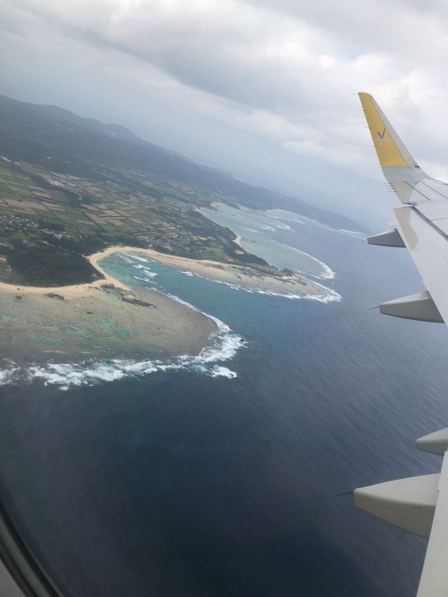 バニラエアが就航してからずっと行きたかった奄美大島。<br />でも今年でバニラエアがなくなってしまうとのことなので、早速行ってきました。<br /><br />冬場の南国は初めて…<br />弾丸なので、気になるところは全部行けました。<br /><br />1日目<br />あやまる岬→笠利埼→夕飯　鳥しん<br /><br />2日目<br />ほのほし海岸→黒湖の森マングローブカヌー→ランチ　みなとや→ハートロック<br />→きょら海工房→カフェ　La Fonte→西郷南洲謫居跡→夕食　喜多八<br /><br />3日目<br />高千穂神社<br /><br /><br />