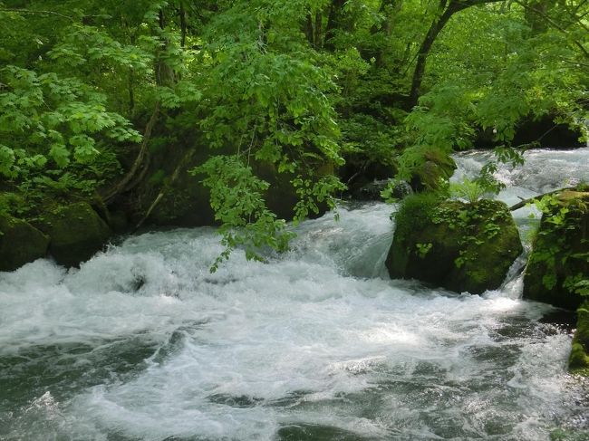 3日目は旅のメインともいうべき奥入瀬渓流の散策です。青森ー十和田湖間の路線バス『みずうみ号』、八戸ー十和田湖間の『おいらせ号』の時刻表を見て十和田湖にも1時間の滞在が可能だったので寄ってみました。歩いた後は温泉へ、星野リゾート 奥入瀬渓流ホテルに泊まってのんびり寛いできました♪<br /><br />■十和田湖国立公園協会<br />http://towadako.or.jp/<br /><br />■ゆるりら十和田(十和田市観光協会)<br />https://www.towada-kankou.jp/<br /><br />■JRバス東北<br />https://www.jrbustohoku.co.jp/