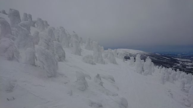 正月から続いていた仕事の疲れを癒すため初青森旅行に行ってきました。<br />ここも見たい、あそこも見たいと1泊2日では堪能しきれないくらい魅力的な冬の青森。<br />八甲田山の樹氷に感動し、酸ヶ湯温泉の千人風呂と宿泊先の星野リゾート青森屋さんで癒された旅でした。<br /><br />備忘録も兼ねた初旅行記です。よろしくお願い致します。