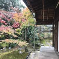秋の京都は凄かった・・・（祖父母の改葬　納骨へ）