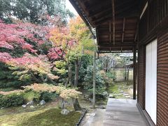 秋の京都は凄かった・・・（祖父母の改葬　納骨へ）