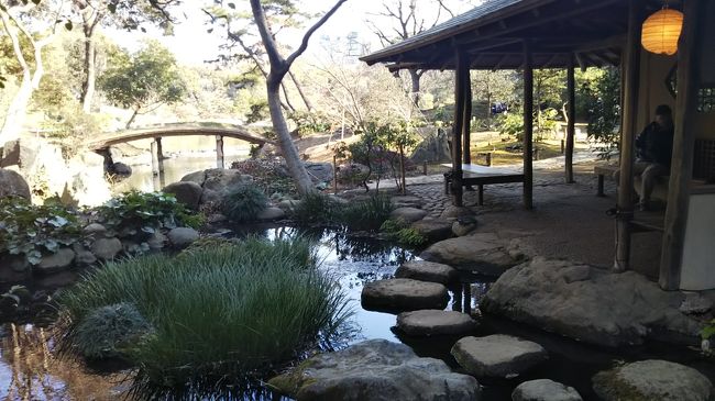 トピックスでもあがってた、天皇陛下御在位三十年慶祝の無料入園日<br />都内の19施設が無料でした。<br />上野動物園は激混みだったのではないかと予想されるこの日<br />駒込にある「六義園」に行って来ました。<br />ネットにはステキ写真がたくさんある中「何これ?」な園内の橋写真ブログ<br /><br />ーボランティアガイドー<br />土日祝の11時と14時の2回(約60分/無料)<br />時間が合わなかったので残念。<br />ガイドしてもらった方が断然楽しいと思う<br />