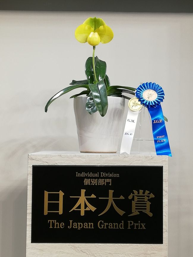 東京ドームで開かれたらん展を友人と見に行ってきました。<br />あの広いドームのアリーナがお花でいっぱいです。<br />蘭だけでなく、盆栽、沖縄美ら海水族館のブース、食虫植物のコーナーがあり、時間に合わせればワークショップ体験もできました。<br /><br />販売エリアも充実していて(蘭の作品展示と同じくらいのスペース(^^;))、大人買いしてる中高年が多かったです。<br /><br />当日は假屋崎省吾氏のトークショーもあり、一日楽しめるらん展でした。