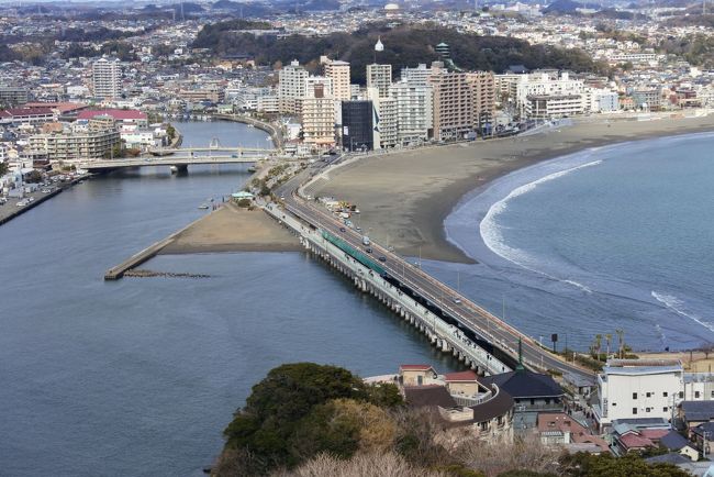早咲の河津桜がそろそろ咲き始める季節となりました!本場の静岡の河津町は行った事あるので他の場所で咲いている所を探していたら、江ノ島で6分咲きとの情報が!年始の香港旅行で壊れてしまったカメラも修理済み!江ノ島には行った事がないので日帰りで訪問してみました!