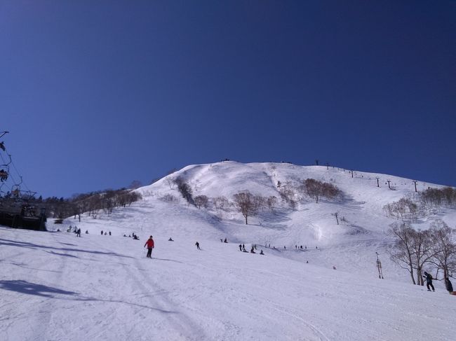 　2019/2/24～25の一泊二日で苗場＆かぐらみつまたにスキーに行ってきました。宿泊は久しぶりの苗場プリンスホテルです。信じられない位の好天に恵まれ、ピクニックランチも楽しめました。でも、雪質は完全に春スキーでした。