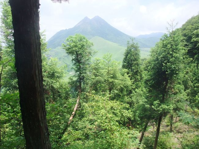 　６月は毎年九州の山へ登りに出かけているが、２０１７年の６月は湯布院の倉木山に登りに行った。<br />　１１６０ｍの倉木山は九州の１００名山にも選ばれている人気のある山で、展望もよく、対峙した位置にある由布岳の眺めは無論のこと、倉木山頂上からは３６０度のパノラマが開け、九重連山の山々が手に取るように見える。<br />　巻き道から登山道を辿れば、檜から雑木林の中の気持ちいい道が続き、急登を下れば背丈より高い笹の中の藪漕ぎ、クロボコの無茶苦茶滑る坂道と変化に富んでおり、短時間で登れる山にしてはかなり面白い。<br />　この日、倉木山からの下山後は森駅に遊び、阿蘇鶴温泉ロッジ村に泊まった。翌日は池山水源へ水を汲みに行き、筌の口温泉に泊まった。<br />　九州３日の旅の中から、今回は「倉木山登山」だけのアルバムを作ってみました。