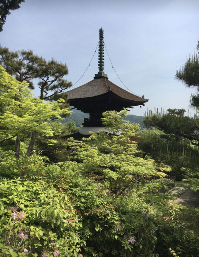 24時間でまわる京都旅行