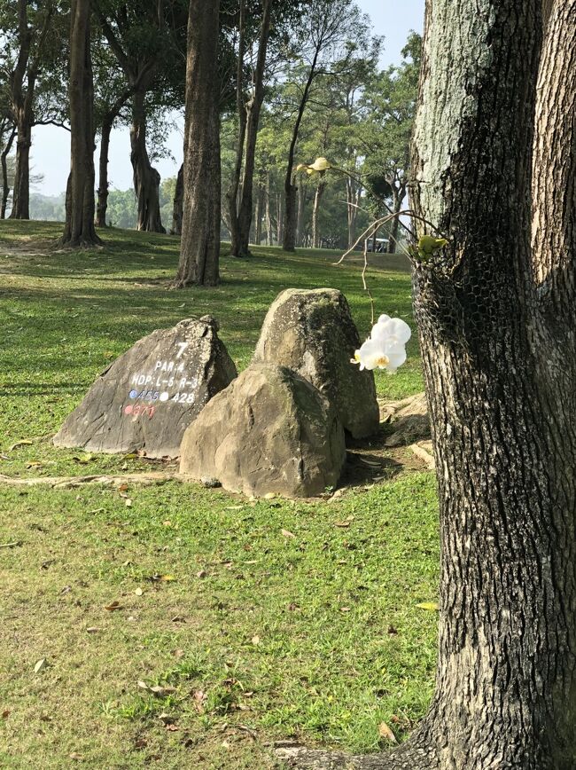 今シーズンの強化合宿は、台湾の高雄です！北海道では、最強寒波は過ぎ去ったものの、カチンコチンの状態で合宿に向かいます！高雄の最高気温と北海道の最低気温の差は40度あります！