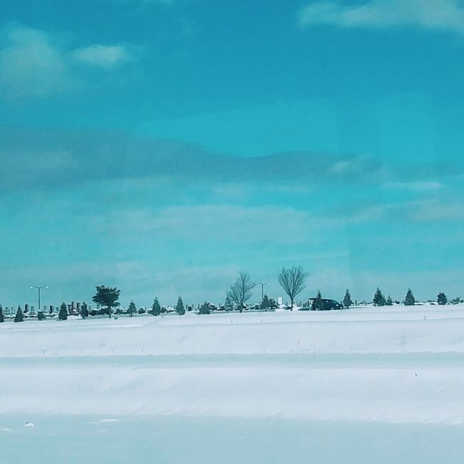 師走の北海道旅行に行ってきました。<br />短い日程の滞在でしたが、食事の店は旅行前からよーく調べてリストアップ済み。<br />美味しかった！まぁまぁだった．．．も含めて、旭川グルメの旅をふり返ってみようと思います。<br /><br />クリスマス頃の旭川はとにかく雪がすごかった。<br />空港付近は見渡す限り真っ白な“雪色”と寒そうな“氷色”に染まっていました。<br />とってもキレイです。そして思ったほどには寒くありません。気温はマイナス２～３度だったと思います。<br /><br />ホテルはＪＲイン。旭川駅から直結しているイオンショッピングセンターの上階にあります。<br />最初はパーキングからホテルへ上がる手順がわかりにくくて戸惑いましたが、イオンの中から<br />入っていくとわかりやすいようです。<br /><br />今回訪れた店は「ラーメンの山頭火本店」「朝めし前田本舗」「ル・アン」<br />「メランジェ」「炉端　町家」「寿司のトリトン」、そして「鰻のかどわき」です。<br /><br />まずは「山頭火本店」。<br />世界各国に店を出してことごとく成功している北海道ラーメンのトップランナー。<br />この本店に入るのは今回が２度目。前回来たのはもう１０年くらい前。再訪楽しみにしていました。<br />中に入ってすぐ１０年前との変化に気づきました。<br />ランチ時、店内は９割がた埋まっていましたが、ほとんどの客が外国人旅行客です。<br />そして対応するホール店員はやはり外国人！アジア系と欧米系のお二人。<br />厨房で料理しているのが日本人（と思われる）という感じでした。<br />頼んだのは味噌ラーメン。ごく普通に美味しかったです。<br />以前はもっとコクがあったような気がします。特徴がなくなったかな、<br />外国人客の好みに合わせたのかもしれません。<br /><br />お次は山頭火の創業者の方が趣味と研究を兼ねて？やっていると聞いた「あさめし前田本舗」。<br />２人で味噌ラーメンとそばラーメンを頼みました。<br />味噌ラーメンは「あーこれこれ！」と言いたくなるようなコクと脂多めのこってり系。<br />チャーシューの代わりにひき肉がのっています。具が麺の上に散らばった感じ、好みでした。<br />そばラーメンは麺にそば粉が入っているのだとか。麺はそばの味がするし、スープも出汁の味がします。<br />麺のモチモチ感と新しい味に大満足。<br />次は何を頼もうかな、なんてメニュー見ながら次回の訪問を考えてしまいます。<br /><br />次は「ル・アン」。旭川の中心部ど真ん中辺りにあります。<br />パリで学んだという若いシェフは、ＨＰの料理画像がとても美しく期待が高まります。<br />美瑛の食材を使用しているというのもステキ。ただ、今３０歳のシェフが２７歳で渡仏して<br />ミシュランレストランともう一軒のレストランで研修、その後日本のホテルチェーンで仕事して<br />２０１７年に独立．．．とのＨＰ紹介に<br />店内の雰囲気はお洒落、キッチンも広くてキレイ。ランチ時シェフ一人サービス一人、ご夫婦かしら。<br />コース料理のみ。連れは肉が食べれないのでその旨を電話で伝えると「別のものは出せない」<br />と言われました。当日もう一度聞いてみると対応してくれることになりましたが。<br />当たり前のレストランなら、よほど強いコンセプトがない限り（肉料理のみの店とか）<br />別のものは出せないとは言わないので、シェフのこだわりに期待したのですが。<br />結果は．．．あまり多くは語りませんが、誉め言葉を残すのはちょっと難しいお料理でした。<br />ステキなお店なんですけどね。<br /><br />「メランジェ」は、料理の型はやや古いけど、ちゃんとした正統派のフレンチレストランです。<br />こちらは小さな店内に驚くほど狭い横長キッチン。シェフは終始蟹歩きでお料理を黙々と。<br />大阪出身のシェフはかつては簡単な料理を出す店にいたそうですが、その後学ばれたのでしょうか、<br />正統派フレンチの店を出し、長いこと店をやっているようです。<br />テーブル数が少ないので、予約を忘れずに。<br /><br />さて「炉端　町家」です。美味しい店でした。<br />炉端の店なので、中央に焼き場があって、囲むようにカウンターシートがあります。<br />新鮮な北海道の食材たっぷりで、それを炙っただけでいただけるなんて贅沢。<br />中でも砂肝のから揚げがソースもろとも美味しくって、いまだに忘れられません。<br />引き延ばした鶏肉のパリパリせんべい（名前は憶えていませんが）これも美味しかった。<br />冬の焼き牡蠣もオツでした。<br />新鮮で美味しい食材だからできるだけシンプルに、と、ちゃんと手をかけたものの両方を楽しめます。<br />人気店なので混んでいます。予約がベター。<br /><br />良く知られた回転すしの店「トリトン」。<br />旭山動物園まで行く予定だったのに、雪がひどすぎてギブアップ。<br />代わりにこの店へ行きました。店内はやっぱり混んでいたけど待ち時間は２０分。<br />座ってからは次々とオーダーします。旬のたちポンは美味しかったな。<br />他のお寿司ももちろん美味しくってシャリの量も丁度よく、食べ過ぎました。<br />それでも二人で３０００円いかないのは嬉しいですね。回転すしのクオリティー超えてます。<br /><br />最後は「鰻のかどわき」。<br />わけあってお持ち帰りで頂いたのですが、さすが連続ミシュランの店、<br />期待以上に美味しい鰻で大満足でした。ごはんもタレもしっかり美味しい。<br />もともとは鰻は苦手なのですが、この店の鰻は他とはちょっと違う。<br />こういうのもなんですが、旭川にこんなおいしい鰻の店があるなんてちょっと驚きなんです。<br />櫃まぶしを頂きたかったんだけど、お持ち帰りは不可なので今回はうな重にしました。<br />次回は店で櫃まぶしをいただきたい。<br />食べ終わった瞬間に次回頼むものを考えることのできる店、出会えると幸せ感じます。<br /><br />今回の旭川グルメ旅の勝手にランキングは、「鰻のかどわき」が（お持ち帰りにも関わらず）<br />ダントツのトップでした。２番手は「炉端　町家」「あさめし前田本舗」が同点。<br />完全に自分勝手なランキングですが、こういう旅の回想も楽しいものです。<br /><br /><br />最後まで読んでくださったかた、ありがとうございます。<br /><br /><br />