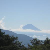 ずっと富士山が見えました