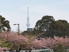 花を求めて⑦ 葛西臨海公園、木場公園