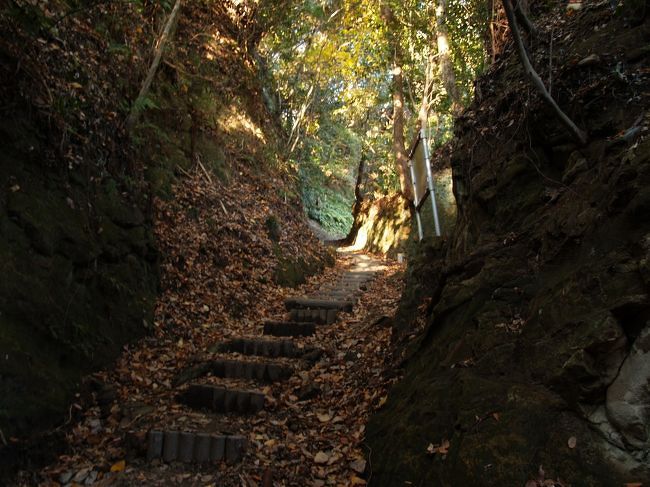 　鎌倉市二階堂にある薬師堂ヶ谷から東側の尾根道に上る山道には天井にやぐら（平子やぐら群）が見え、尾根へ上がる手前は深い掘割道になっている。ただし、やぐらが造られた時代以降に道が掘削されて平子やぐら群が随分と高い場所にある。こうした掘削はおそらくは近世になった江戸時代の造作であろう。しかし、やぐらが造成できるほど掘割を掘削していたのであるから、やぐらが造成された時には、ここは切通であったはずだ。平子切通と呼べる場所だ。<br />　寺の惣門前に庚申塚があり、そこから平子切通を通って尾根道に出、今の今泉台へと抜けられる街道があったのだ。<br />（表紙写真は平子切通）