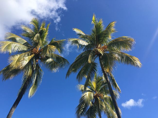10年ぶり?のハワイ、オアフ島。いつものように備忘録です。新しくきれいになっているはず、と色々噂を聞いていたけれど。空港に着いた途端、あれ?ここは以前のままのような古さ(失礼)。ワイキキ周辺はさすがに新しくなったお店などもあり、これからさらにリノベーションが広がるのかなと言う感じ。<br />フードパントリー、最後に見納め。懐かし。<br />予定を決めずに車で行けるところにちょっと行ってみようかとのんびりした旅もまたいいものです。せっかくハワイまで来ているんだからって思う反面部屋で昼寝もシニア予備軍には大切な休養。<br />時差ボケも後でくるのでそれだけがちょっといただけないけれど、「ハワイに行ってきた」って思うだけで気持ちが安らぐ現役世代後半。<br />まだまだ行ってみたい国、場所がたくさんあるので、ハワイはこれで最後かもと話していたら、帰る日の朝、きれいな虹がでました。ダブルレインボーを見るとまたハワイに戻ってこれるって言うらしいではありませんか。<br />ちなみに帰ってきた後の方がまた行きたいなって思うのがハワイ。他の場所はまた行きたいってそれほど思わないけれど。<br />なので、またねハワイ!<br />