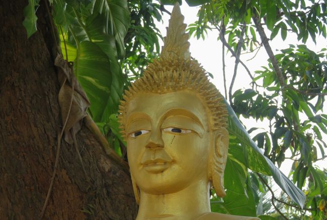 2019早春、ベトナムとラオスの旅(7/28)：2月13日(4)：ルアンパバーン(4)：世界遺産の街・ルアンパバーン、市場、仏教寺院