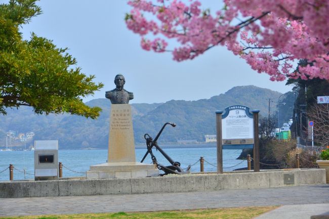 東京から1泊2日で河津、稲取温泉＆下田を観光しました<br />伊豆下田は黒船とキンメダイの街。キンメダイ漁獲高の8割は下田で水揚げされたもの<br /><br />何から何まで黒船とキンメダイ尽くしの街の風情は面白くもあり<br />、また訪れてみると下田が地形的に天然の良港でペリーに日本を代表する港に選定されたことがよく理解できました<br /><br />