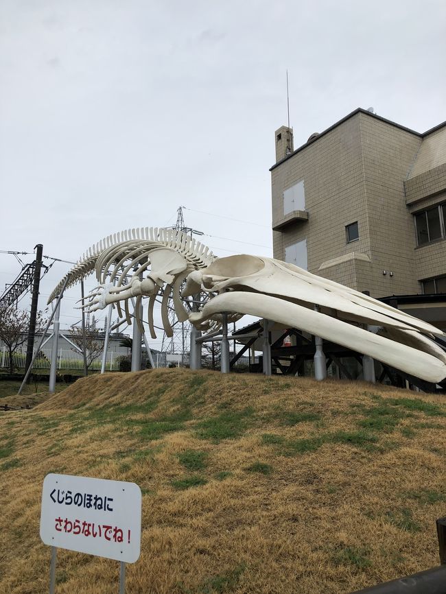 館山に日帰りドライブ！<br />天気が悪くて残念(＞＜)