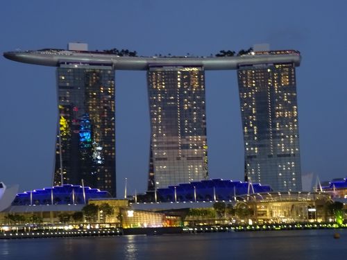 ビキニ(マリーナベイサンズで購入) （シンガポールの絶景プール