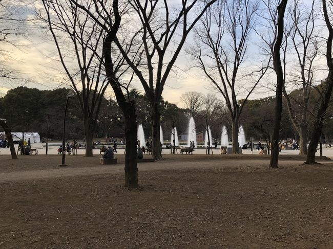 最近は、めっきり来ることのなくなった上野公園。<br />アメ横やその周辺の飲み屋街には来るものの、絵画を見るセンスを持ち合わせていない僕は美術館や博物館にはまず行かないし、東京文化会館のコンサートに来たのも、もうとっくの昔の思い出です。