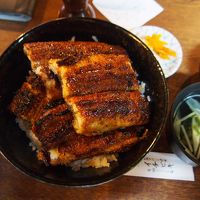 名古屋で念願のイチビキでうな丼、湯の山温泉、松阪で回転焼肉、伊勢神宮を経て京都城南宮の梅を楽しむ週末フリーパスを使った近鉄沿線二泊三日の旅１ 名古屋編