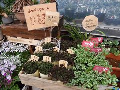 池袋西武百貨店９階の「食と緑の空中庭園」にある日比谷花壇を訪問