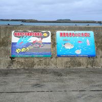 近くて遠い？「戸なき」島で沖縄の原風景を体験 &#12316;３日目
