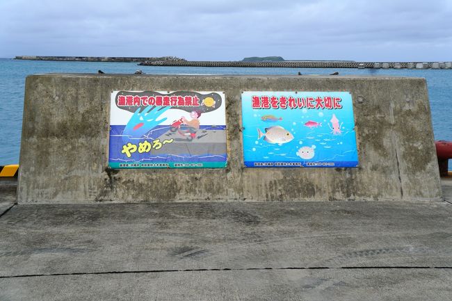 西門から戻り、雨の中シャワーを済ませて就寝。<br />雨戸を閉めていないので外の音がよく聞こえていましたが、早朝、激しい雨音で目を覚ましました。カーテンを開けると、トイレに出るのもおっくうになるくらいの雨。<br />早起きして行こうと思っていた里御嶽（サトゥドゥン）詣も、やむなく断念して荷造りをして朝食へ。<br /><br />ここで今回の渡名喜島ツアーで気がついたことを挙げておきます。<br />1.出発当日はホテルで朝食も悪くないが、マーミヤかまぼこ・とまりん店でお弁当が買える。また人参とゴボウを混ぜて作った一口サイズのかまぼこ「たらし揚げ」やニンニクの効いたかまぼこは、おつまみに最高。<br />2.島で買えるアルコール類は限られているので、好みが決まっている人は、とまりん内のローソンで入手しておいたほうがベター（ソフトドリンクの自販機はターミナルと村の中にもあります）<br />3.フェリーはそこそこ揺れるので、弱い人は乗り物酔いの薬を飲んで寝たほうが良いかも。<br />4.浜周辺にはゴミ箱はないので、大きめのビニール袋を持っていって、とまりんまで持ち帰るか、季節によっては宿で処分してもらうのが良さそう。<br />5.部屋から台所やトイレに行くのにサンダルがあると便利。また部屋への上がり込みが高く、すぐ畳のこともあるので、小さなビニールシートを持っていくと快適。<br />6.冬でも蚊や虫がいるので、苦手な人は虫除け持参(薬局の類はなありません)。ハブがいるので、特に夜は草むらや茂みに近づかない。噛まれたらすぐ119番。<br />7.当然ながら湿度も高いので、自前のタオルも大中小とあると便利。<br />8.ケイタイは村内では主要3社が通じるが、南北の山間部ではドコモ、ソフトバンクは繋がらない場所がある。特に島の南西側の山影は電波が入りにくい。<br />9.昼食を確実に摂りたければ、営業時間をチェックして早めに行くか、朝のうちに予約しておく。<br />10.Wi-Fiはターミナルで、15分×4回無料で利用可能（接続可能な時間帯については不明）。<br />