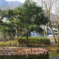 花蓮公園と杣山