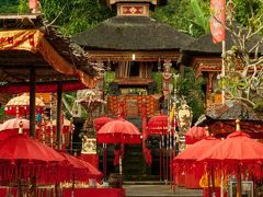 初LCCで飛ぶ 4年ぶりの1人旅 2018【おまけ編】~One's trip to Ubud~ ٩( ᐛ )و٩( ᐖ )و