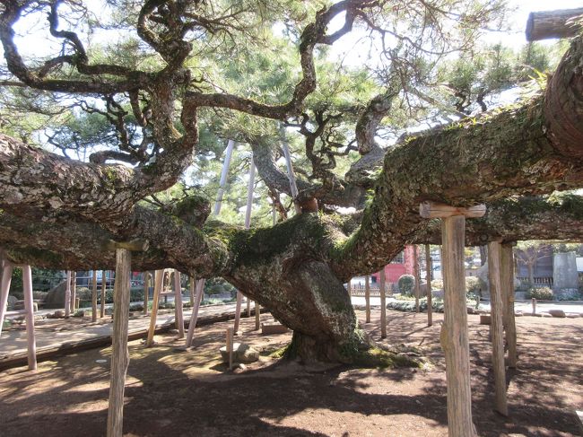 江戸川区奥戸・篠崎周辺散歩