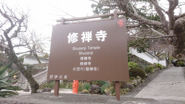 静岡旅行１日目は伊東観光をして、２日目は修善寺に行くことにしました。<br />途中、三島駅で少し時間がありましたので、三島駅前に楽寿園に立ち寄りました。<br />その後、修善寺駅へ行き、修禅寺周辺を散策しました。<br /><br />　〇伊東駅～熱海駅～三島駅<br />　　　↓<br />　〇楽寿園<br />　　　↓<br />　〇三島市郷土資料館<br />　　　↓<br />　〇楽寿館<br />　　　↓<br />　〇修禅寺<br />　　　↓<br />　　修善寺エリアを歩いて散策しました。<br /><br />　初めて修善寺に行きましたが、伊豆の京都と言われるだけあり<br />お寺や蕎麦屋、石畳の小路、川など見所満載の場所でした。