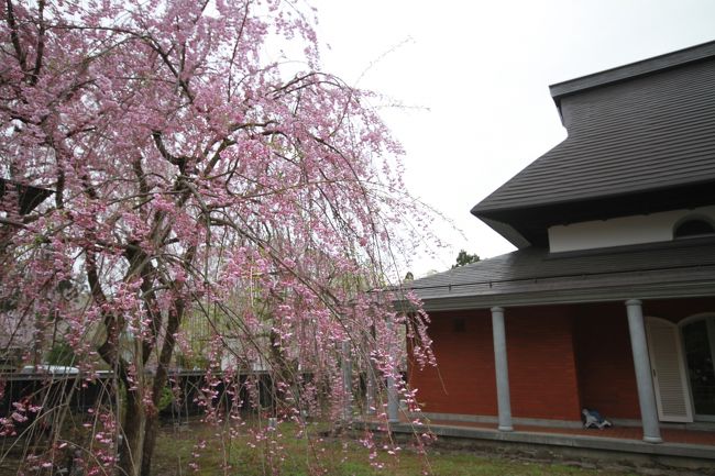 ゴールデンウィークにどこかにお出かけしたいと思い、枝垂れ桜で有名な角館へ。<br />残念ながら観桜には少し遅かったですが、秋田と岩手を堪能してきました。<br />初日は角館周辺を観光。二日目は岩手県の三陸側、三日目は平泉観光です。