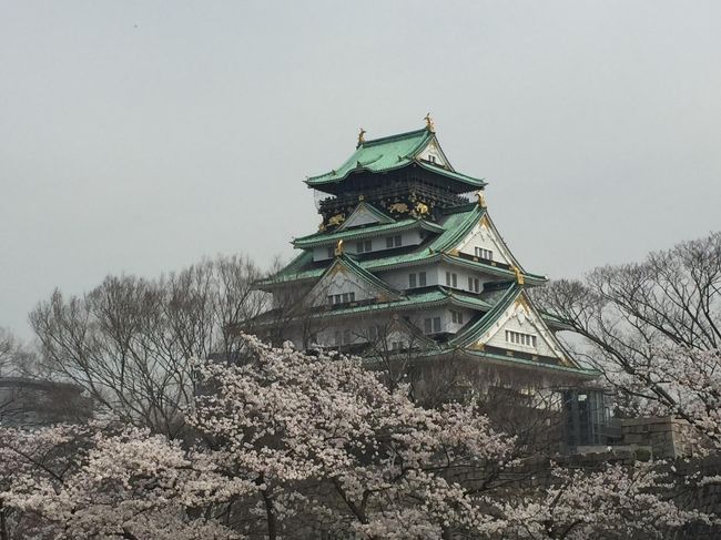 大阪城へ花見に行ってきました。満開の桜と大阪城が調和して本当にきれいでした。食べ歩きも楽しい大阪で、またまた私の趣味のレトロホットケーキ食べ比べにつきあってもらいました。大阪は元気だし美味しいし、いいところですね！