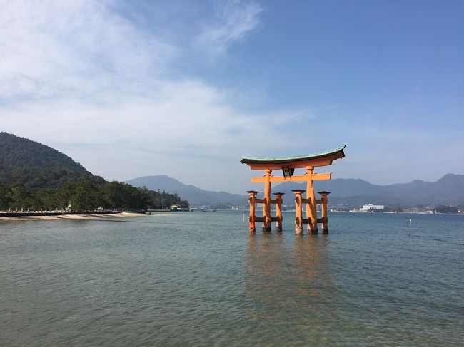 わりと旅行好きな同僚が「厳島神社へ行ったことがない」と言うので、これは鳥居改修前に行っておかねばと向かいました！<br />いつ行ってもいいところです。広島。宮島。