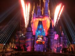 ディズニーランド『Celebrate! Tokyo Disneyland』