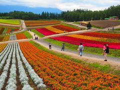 2018最北端を目指す旅４　富良野・美瑛