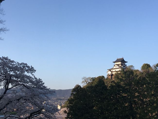 犬山城の桜&名古屋めし