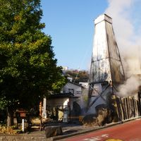 JRお得きっぷで行く河津桜１泊２日　2日目-　2019.3