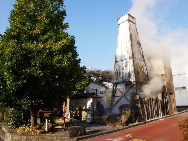 JRお得きっぷで行く河津桜１泊２日　2日目-　2019.3