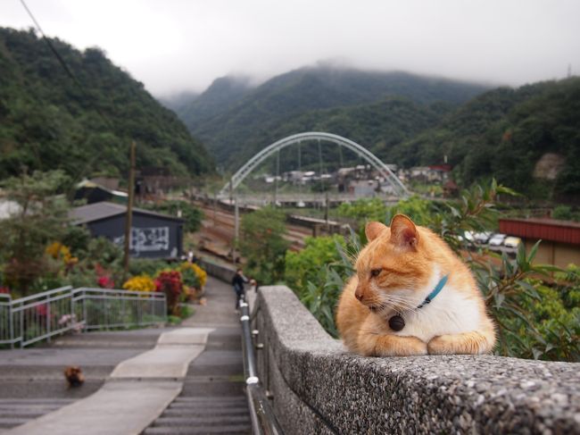 初めての海外一人旅 ２泊４日の台湾旅行［３］台湾で絶対行きたかった猴トン猫村、可愛いねこたちに癒されてきました